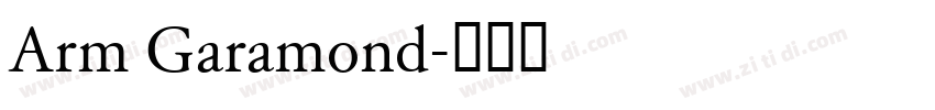 Arm Garamond字体转换